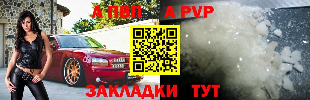 Alfa_PVP СК Урус-Мартан
