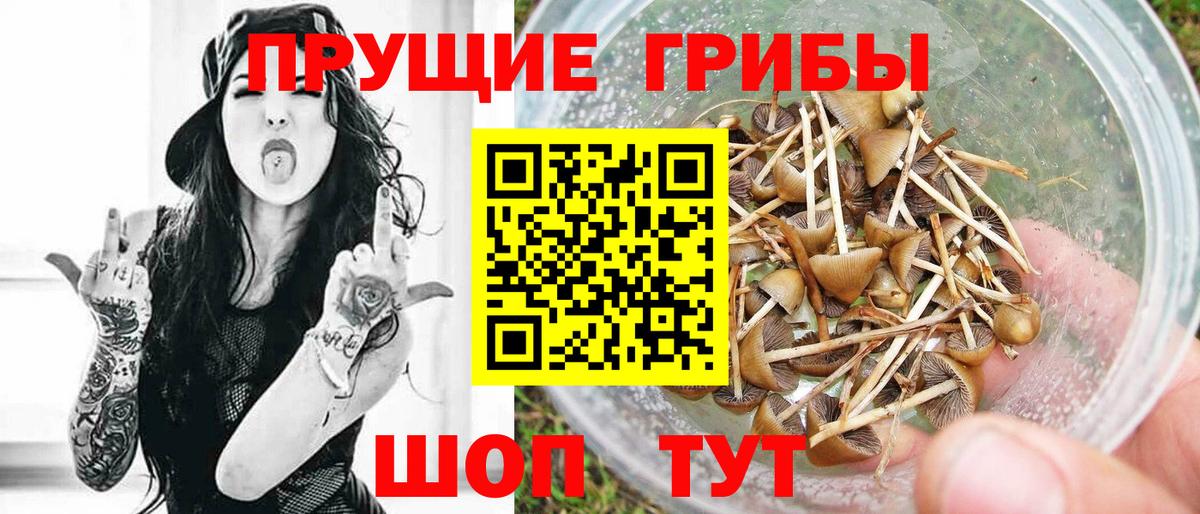 Урус-Мартан  Галлюциногенные грибы GOLDEN TEACHER  Вход с VPN 